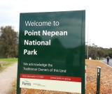 featured image Pasquetta a Point Nepean National Park